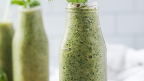 Wolf Gourmet Blender + Matcha Mint Chip Smoothie — Kale Me Maybe